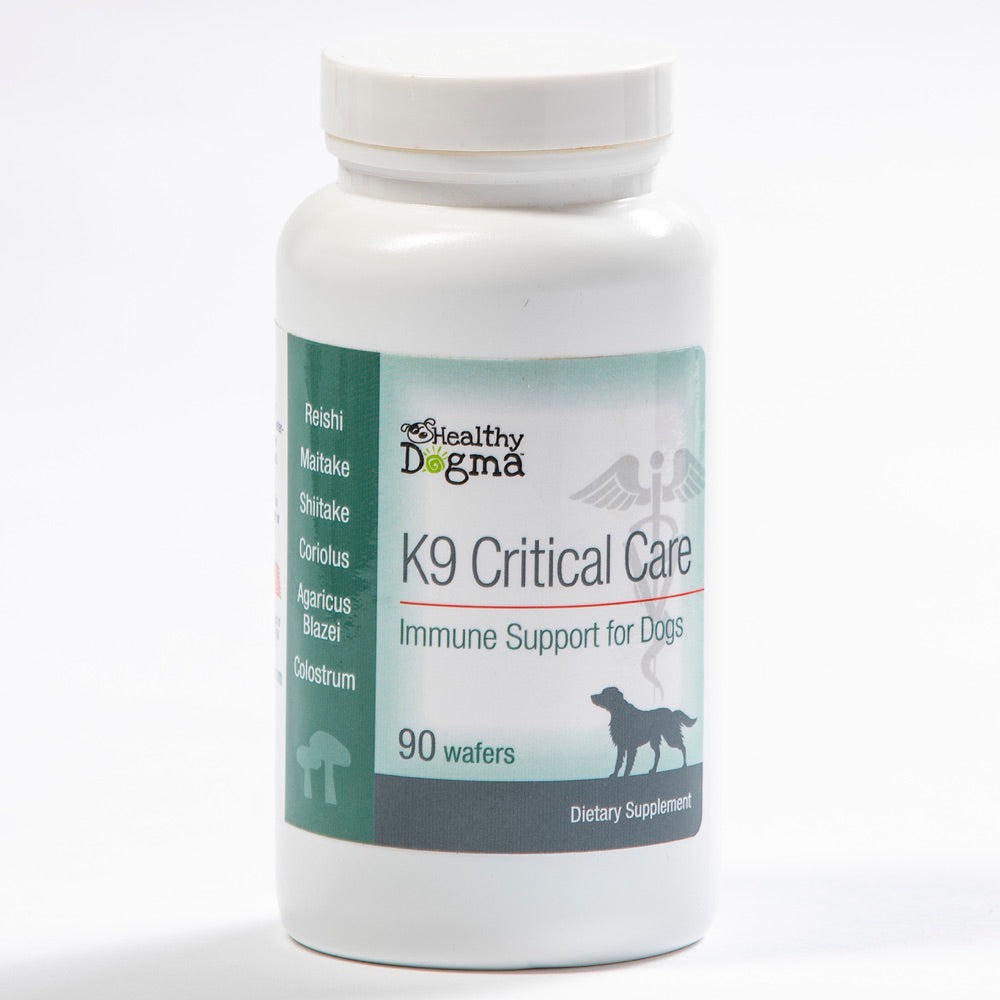 Healthy Dogma K9 Critical Care Immune Support Dog Supplement - Kohepets