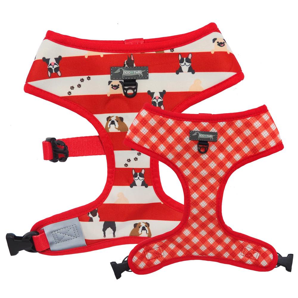 Moo+Twig Peek A Crew Reversible Dog Harness