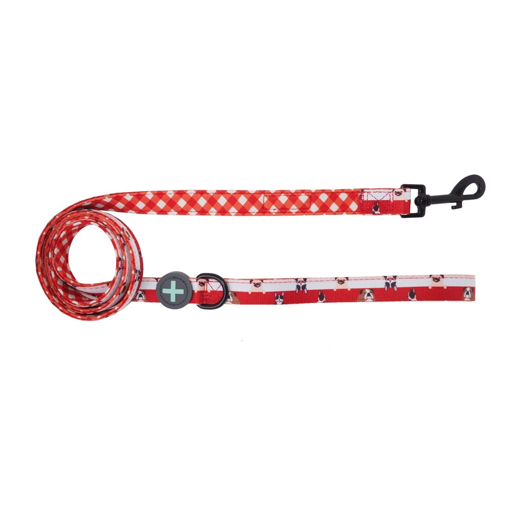 Moo+Twig Peek A Crew Two-Faced Neoprene Handle Dog Leash
