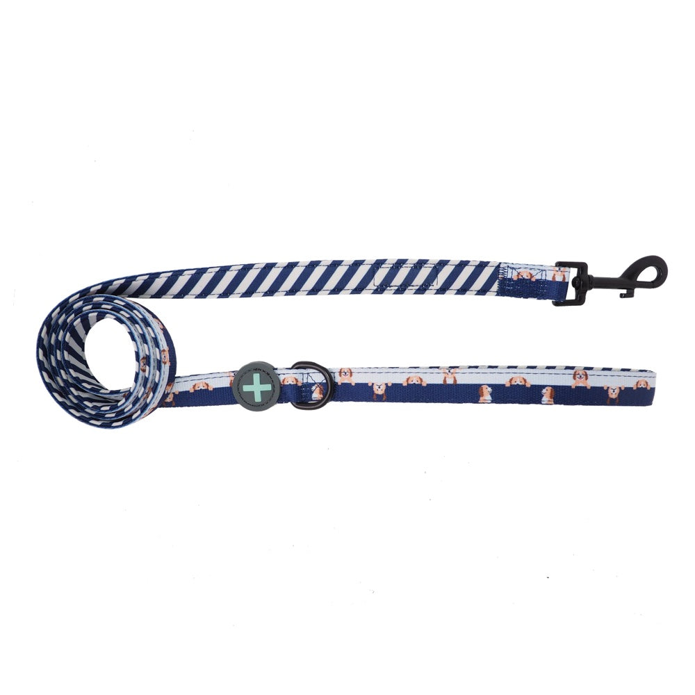 Moo+Twig Peek A Doo Two-Faced Neoprene Handle Dog Leash