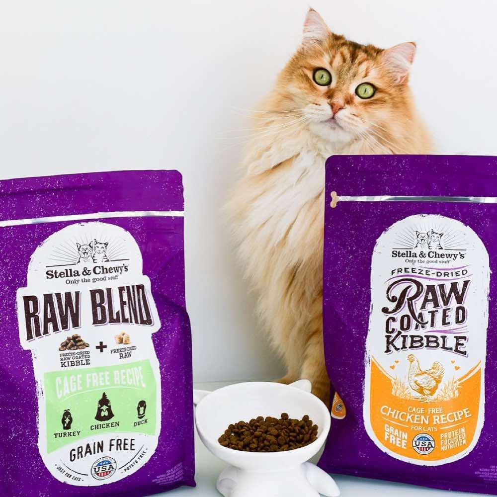 Stella & Chewy??s Freeze-Dried Raw Coated Kibble Chicken Grain-Free Dry Cat Food