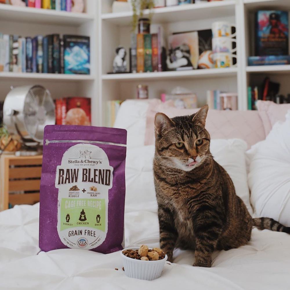 Stella & Chewy??s Freeze-Dried Raw Blend Kibble Cage Free Chicken Grain-Free Dry Cat Food